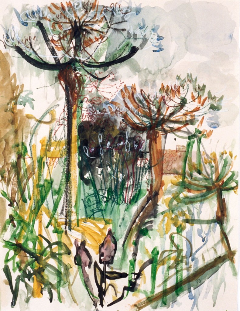 Berenklauwen, 2000 (aquarel op papier, 73 x 53 cm)