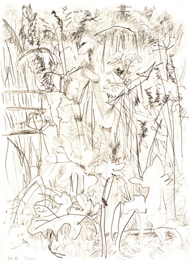 Voorjaar, 2000 (tekening met grafietstift, 57 x 47 cm)