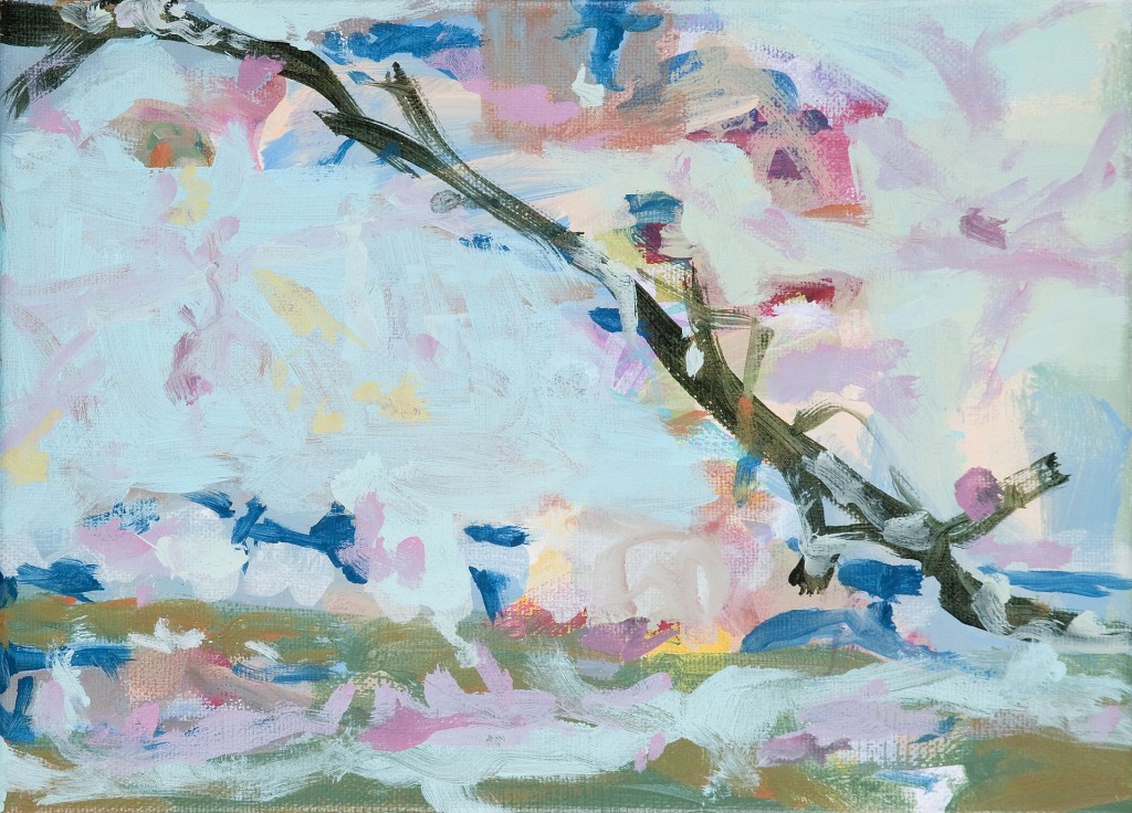 zonder titel, 2009-02 (acrylverf op linnen, 18 x 24 cm)